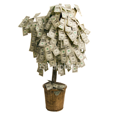 money_tree.jpg